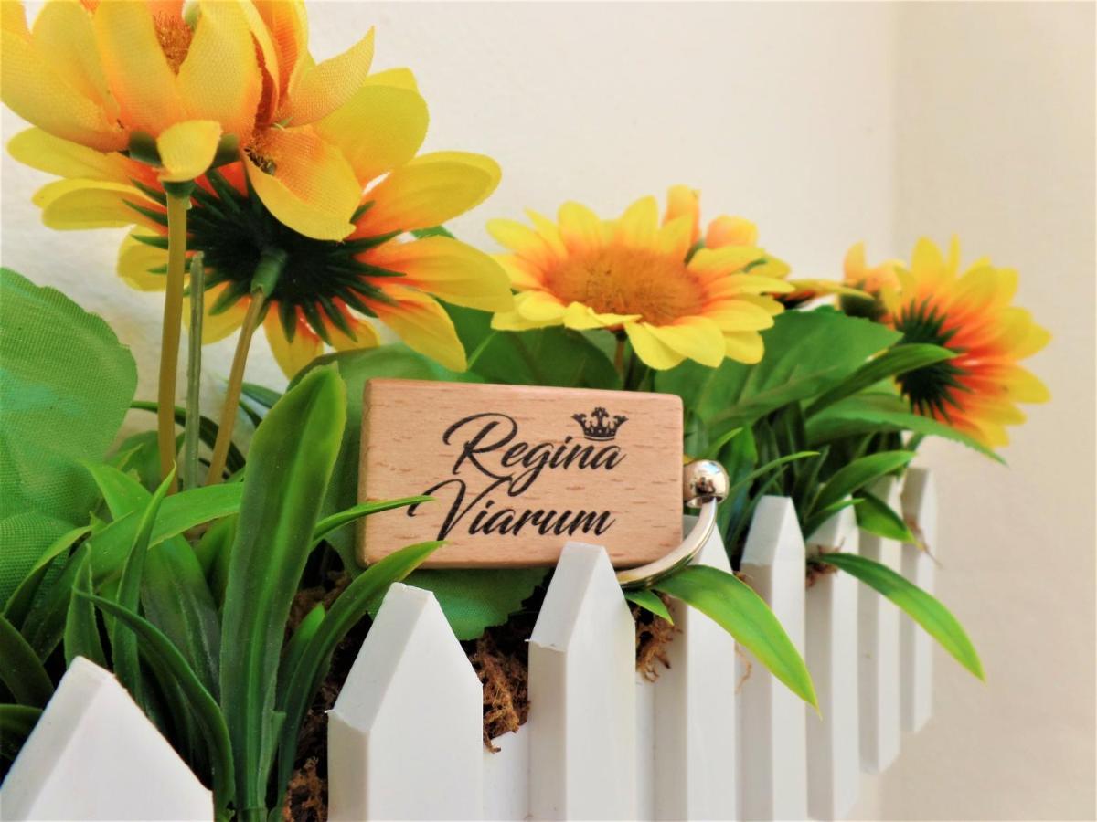Regina Viarum Apartment, Historic City Centre Μπρίντιζι Εξωτερικό φωτογραφία